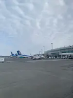女満別空港の写真・動画_image_502036