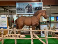 帯広空港（とかち帯広空港）の写真・動画_image_502043