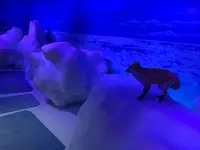 オホーツク流氷館の写真・動画_image_502058