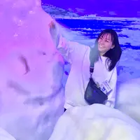 オホーツク流氷館の写真・動画_image_502059