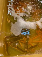 和商市場の写真・動画_image_502100
