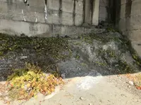 道の駅三野の写真・動画_image_502565