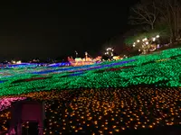 東京ドイツ村の写真・動画_image_502895
