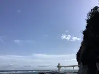 勝浦海中公園海中展望塔の写真・動画_image_502898