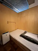 イワシビルの写真・動画_image_502936
