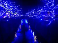 目黒川の写真・動画_image_50296