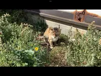 聖天島公園の写真・動画_image_502962