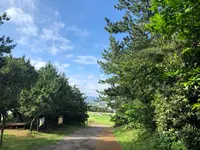 송악산の写真・動画_image_502969