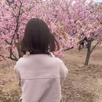 道の駅 萩しーまーとの写真・動画_image_502987