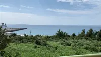 カフェレストラン 長楽の写真・動画_image_503172