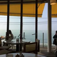 bills 七里ヶ浜の写真・動画_image_503208