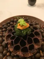 Installation Table ENSO L'asymetrie du calmeの写真・動画_image_503256