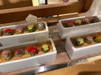 Francfranc 横浜ジョイナス店の写真・動画_image_503353