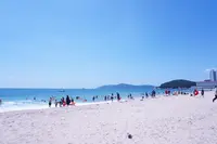 海雲台/ヘウンデ/해운대の写真・動画_image_503573