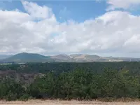 아부오름の写真・動画_image_503581