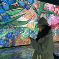 光のバンカーの写真・動画_image_503588