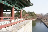 東宮と月池 (雁鴨池)の写真・動画_image_503657