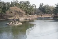 東宮と月池 (雁鴨池)の写真・動画_image_503658