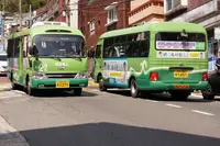 甘川洞文化村/カムチョンドンムナマウル/Gamcheon Culture Village/감천동문화마을の写真・動画_image_503688