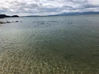 シャーレ水ケ浜の写真・動画_image_504598