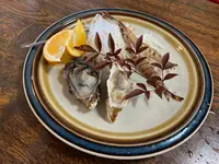 漁火の写真・動画_image_504982