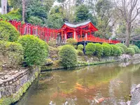 根津神社の写真・動画_image_504993