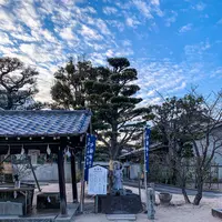 鶴羽根神社の写真・動画_image_505016