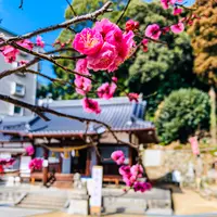 尾長天満宮の写真・動画_image_505052