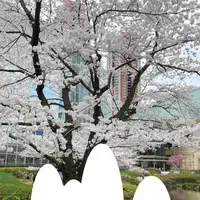 毛利庭園の写真・動画_image_505199