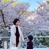 ロボット（ロボロボ）公園（正式名 さくら坂公園）の写真・動画_image_505352
