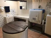 SAKURA HOUSEの写真・動画_image_505537