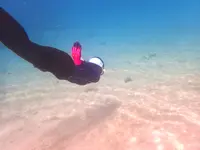 ナンタ浜の写真・動画_image_505541