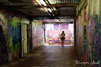 Graffiti Tunnel Camperdownの写真・動画_image_505611