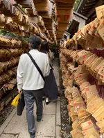 川越氷川神社の写真・動画_image_505742