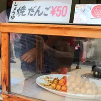 菓子屋横丁の写真・動画_image_505745