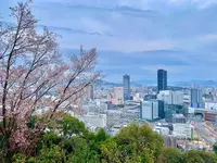 金光稲荷神社の写真・動画_image_505803
