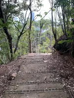 金光稲荷神社の写真・動画_image_505806