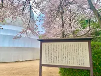 二葉山平和塔の写真・動画_image_505817