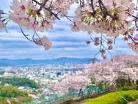 二葉山平和塔の写真・動画_image_505818