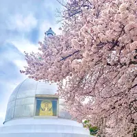 二葉山平和塔の写真・動画_image_505820