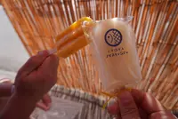 龍宮神社の写真・動画_image_506060