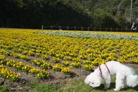 池田湖遊園地の写真・動画_image_506065