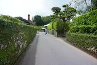 知覧武家屋敷庭園群の写真・動画_image_506072