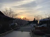 さがみ湖リゾート プレジャーフォレストの写真・動画_image_506231