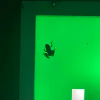 清津峡渓谷トンネルの写真・動画_image_506318