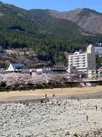 下呂大橋の写真・動画_image_506962
