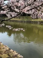 玄宮園の写真・動画_image_507321