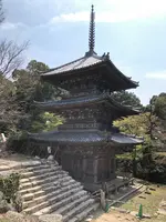 安土城跡の写真・動画_image_507380
