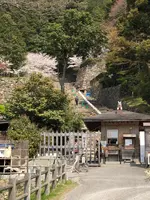 安土城跡の写真・動画_image_507385