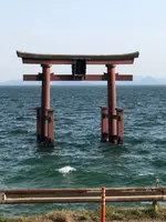 白鬚神社の写真・動画_image_507432